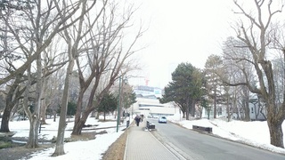 北海道大学2.JPG